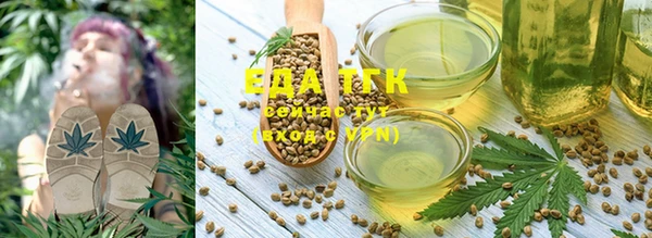 эйфоретик Аркадак